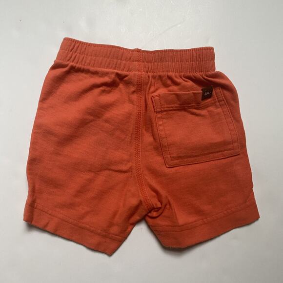 Tea Collection Shark T Shirt Tee & Orange Shorts Outfit - Picture 4 of 4